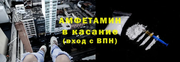 индика Богородск
