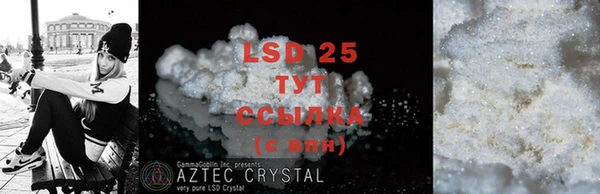PSILOCYBIN Богородицк