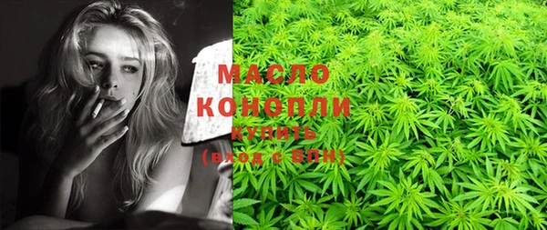 индика Богородск