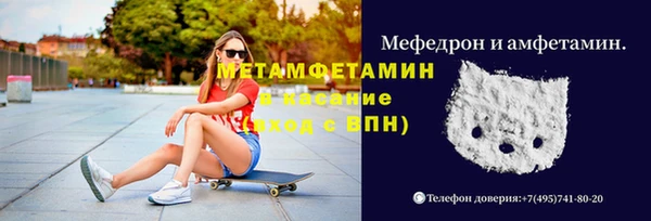 индика Богородск