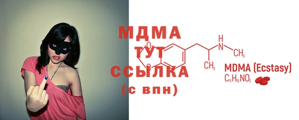 индика Богородск