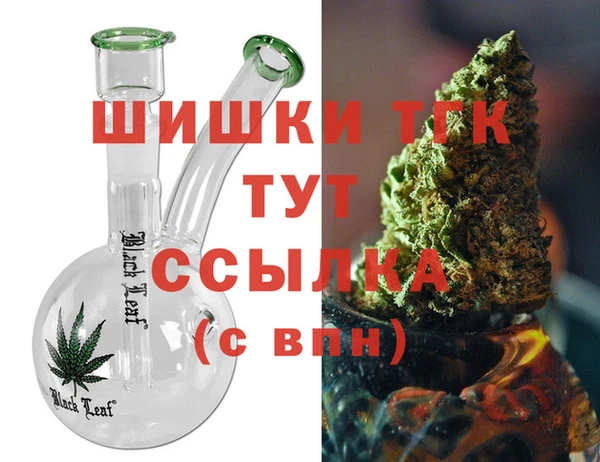 индика Богородск