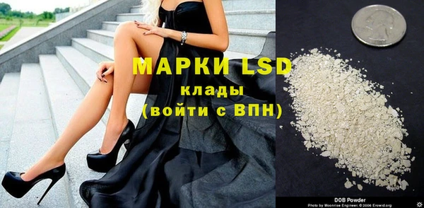 PSILOCYBIN Богородицк