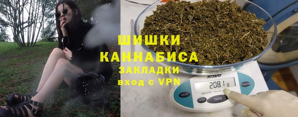 индика Богородск
