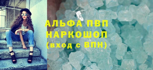 индика Богородск