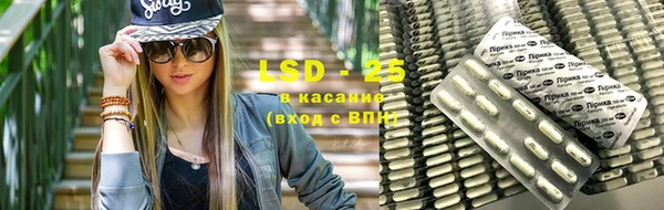 индика Богородск