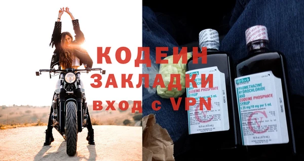 индика Богородск