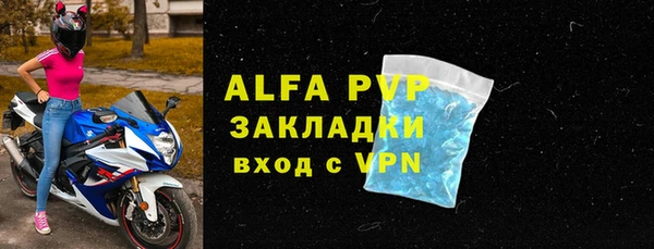 PSILOCYBIN Богородицк