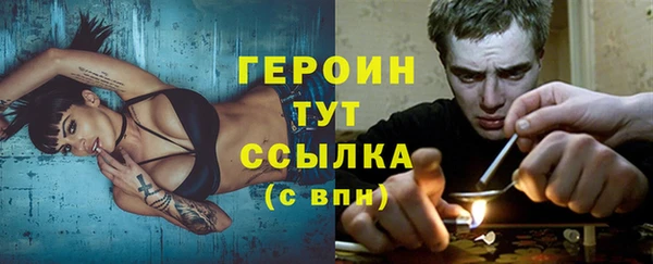 индика Богородск