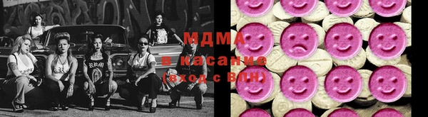 индика Богородск