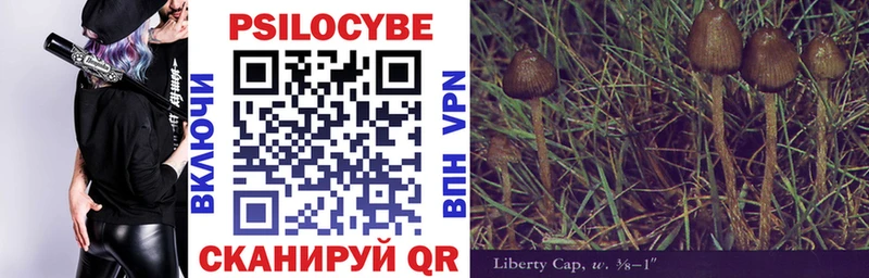 Псилоцибиновые грибы Cubensis Яранск